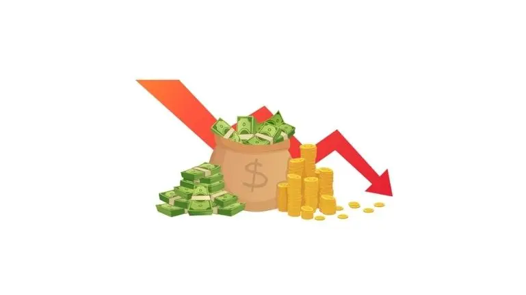 Professional video is costly -KrishaStudio