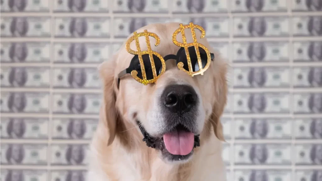 Incorporate your business values - KrishaStudio