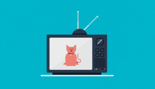 Video with Animation - KrishaStudio