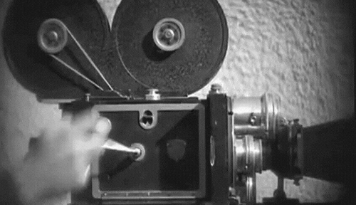 Documentary Video - KrishaStudio